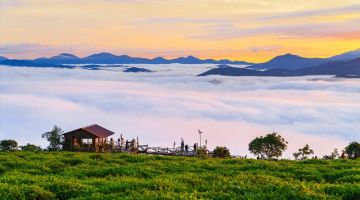 Beautiful sunrise view over Cau Dat Tea Hill in Da Lat, Vietnam – popular destination in Da Lat tour packages from Singapore and Malaysia